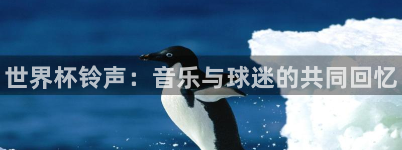 世界杯足球赛2026：世界杯铃声：音乐与球迷的共同回忆