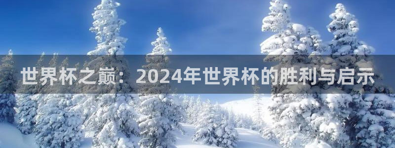世界杯球队排名：世界杯之巅：2024年世界杯的胜利与启示