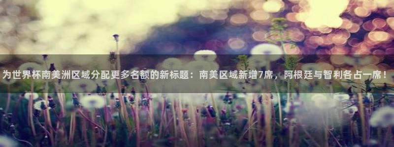 2006年世界杯冠军：为世界杯南美洲区域分配更多名额的新标题：南美区域新增7席，阿根廷与智利各占一席！