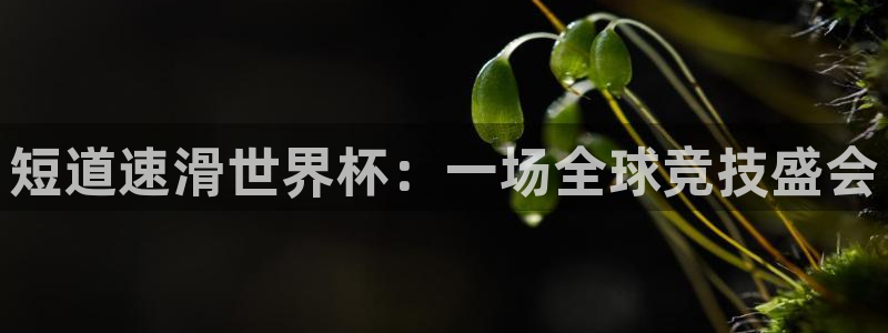世界杯赛程时间表：短道速滑世界杯：一场全球竞技盛会
