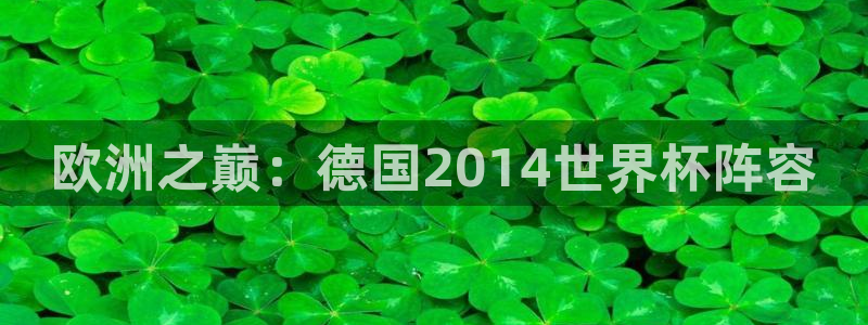 2026年世界杯:欧洲之巅:德国2014世界杯阵容
