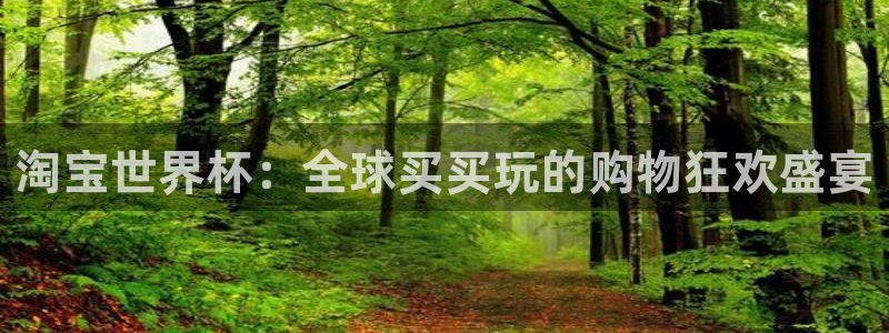 女足世界杯直播：淘宝世界杯：全球买买玩的购物狂欢盛宴