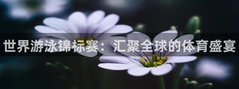 世界杯直播网：世界游泳锦标赛：汇聚全球的体育盛宴