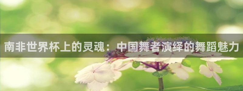 世界杯足球赛：南非世界杯上的灵魂：中国舞者演绎的舞蹈魅力