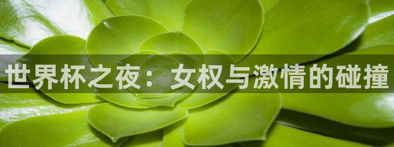 世界杯直播网：世界杯之夜：女权与激情的碰撞