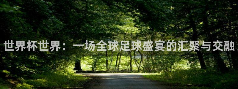 世界杯直播网站：世界杯世界：一场全球足球盛宴的汇聚与交融