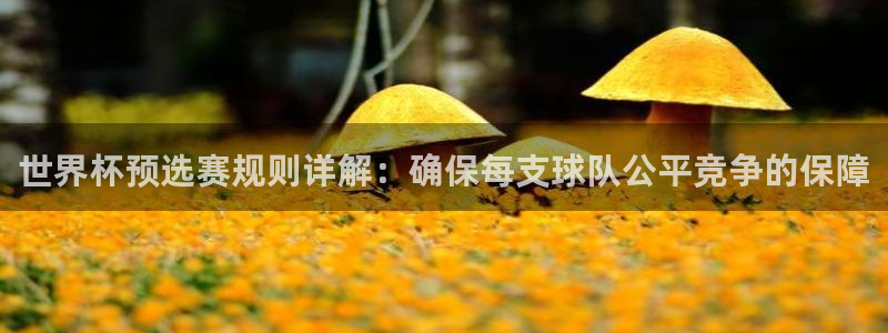 2026年世界杯对阵图：世界杯预选赛规则详解：确保每支球队公平竞争的保障
