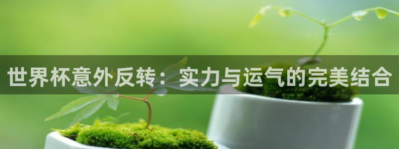足球比分直播世界杯：世界杯意外反转：实力与运气的完美结合