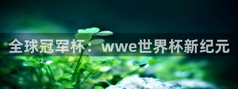 女足世界杯直播在线观看免费高清：全球冠军杯：wwe世界杯新纪元