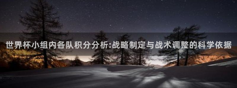 2026年世界杯时间表：世界杯小组内各队积分分析:战略制定与战术调整的科学依据