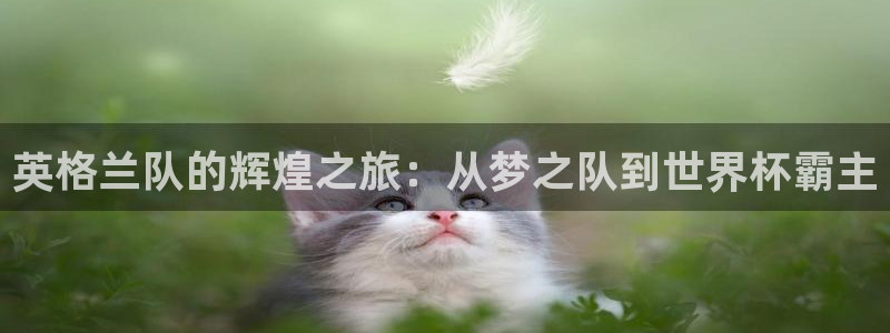 世界杯 2026：英格兰队的辉煌之旅：从梦之队到世界杯霸主